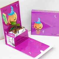 Rastliny na zákazku v papierovej krabičke - Halloween