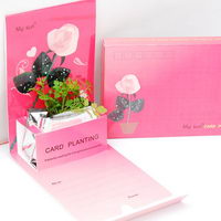 Rastliny na zákazku v papierovej krabičke - láska