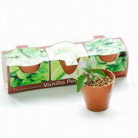 Rastlinky v plastovom kvetináči s potlačou - vanilka