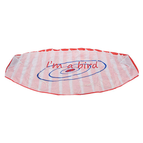 Parafoil Flying Kite